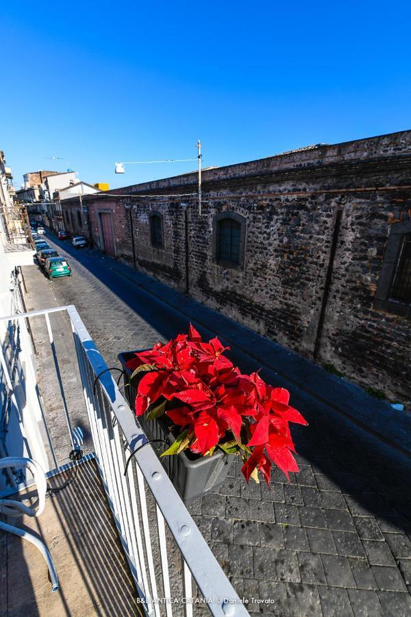 Antica Bed & Breakfast 2*